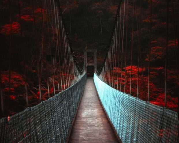 An eerie Dark Fall Wallpaper showcasing a long suspension bridge leading into a dark forest with red-toned autumn leaves