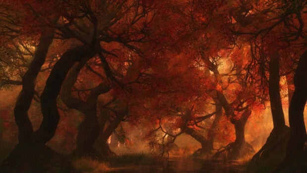 A vibrant Dark Fall Wallpaper featuring a dense forest with twisted red-orange trees reflecting in still, dark water