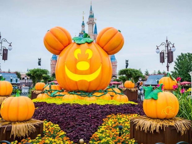 Disney Halloween wallpaper featuring a giant Mickey Mouse pumpkin display in front of a Disney castle