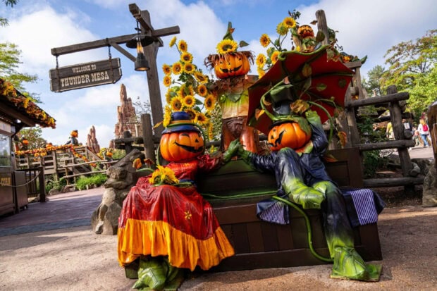 Disney Halloween wallpaper featuring pumpkin scarecrow decorations with sunflowers at Thunder Mesa in a Disney park