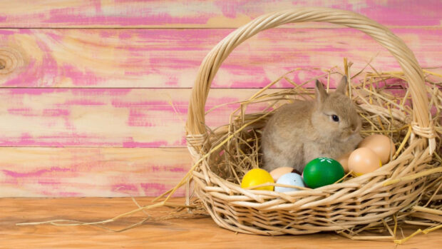 A charming Easter Bunny wallpaper featuring a small brown bunny in a straw-filled basket with colorful eggs against a pink wooden background