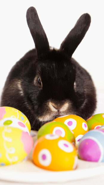 Easter Bunny Wallpaper featuring a striking black rabbit with long ears looking over colorful Easter eggs against a clean white background