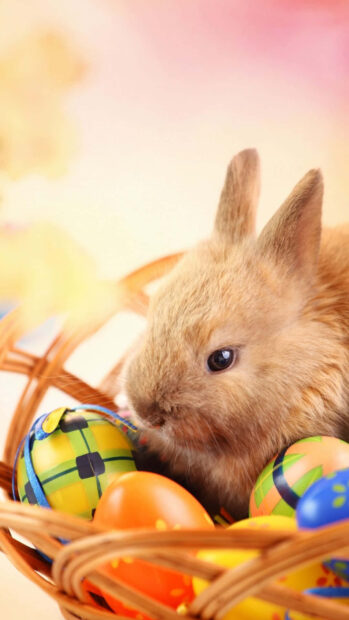 Easter Bunny Wallpaper showing a cute brown rabbit nestled in a woven basket surrounded by colorful Easter eggs