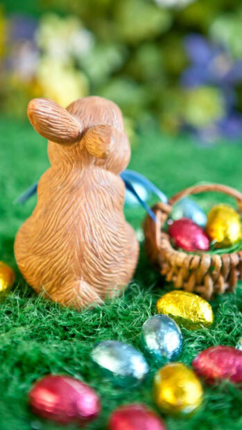 A delightful Easter Bunny wallpaper showcasing the back of a brown chocolate bunny figurine surrounded by colorful foil-wrapped Easter eggs on green artificial grass