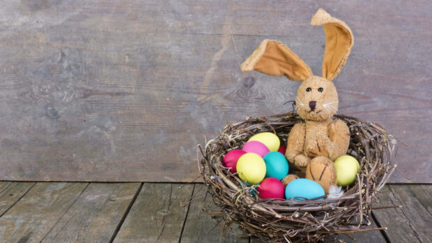 Easter Bunny Wallpaper featuring a plush bunny toy sitting in a nest filled with colorful Easter eggs