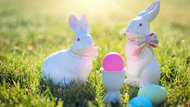 A beautiful Easter Bunny wallpaper featuring two white ceramic bunnies with colorful bows in a sunny green grass field with colorful Easter eggs