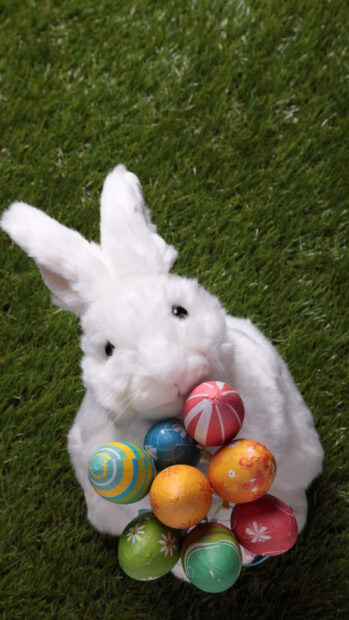 A charming Easter Bunny Wallpaper featuring a fluffy white toy bunny holding a basket filled with beautifully decorated Easter eggs, set against a vibrant green grass background