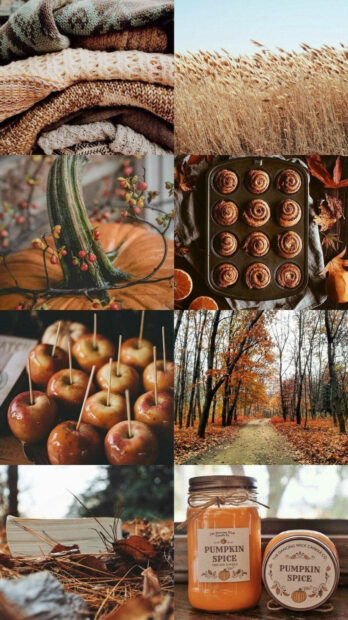 A cozy Fall Aesthetic Iphone Wallpaper grid featuring knitted blankets, pumpkin spice, caramel apples, and autumn landscapes
