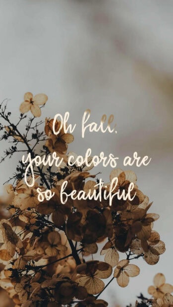 A serene Fall Aesthetic Iphone Wallpaper featuring dried autumn flowers with the quote "Oh fall, your colors are so beautiful" overlaid