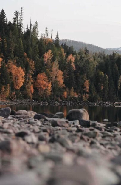 A serene fall aesthetic iPhone wallpaper featuring a forest with autumn trees reflecting on a calm lake, with rocks in the foreground