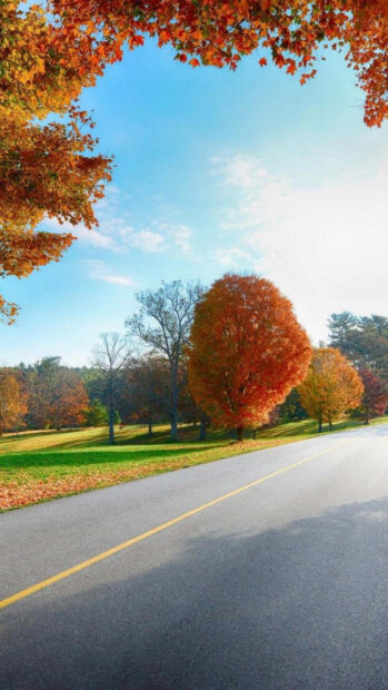 A vibrant Fall Aesthetic Iphone Wallpaper showcasing a scenic road winding through colorful autumn trees under a bright blue sky