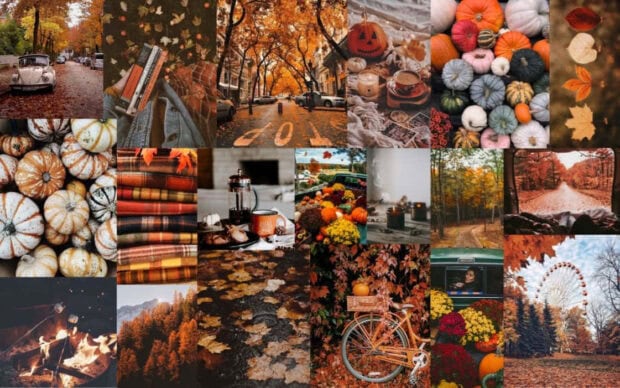 This charming fall collage wallpaper features autumn pumpkins, cozy plaid blankets, a vintage car, and a warm campfire scene