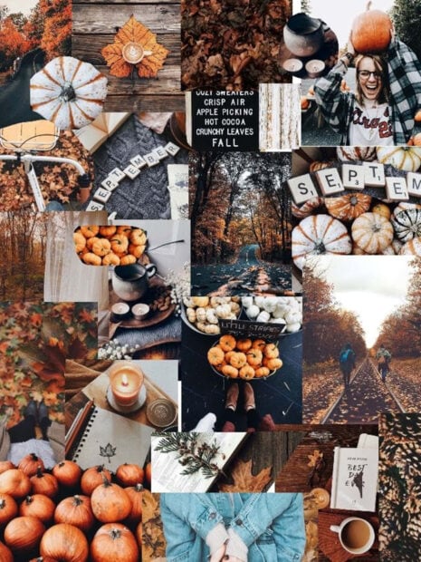 A detailed fall collage wallpaper showcasing various pumpkins, autumn leaves, cozy drinks, and forest scenes