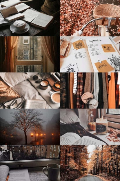 A fall collage wallpaper showcasing various cozy autumn scenes including books, coffee, autumn leaves, and a misty forest road