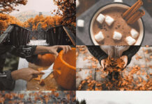 A beautiful fall collage wallpaper depicting various autumn activities and landscapes, including pumpkin carving, hot chocolate, and misty forest views
