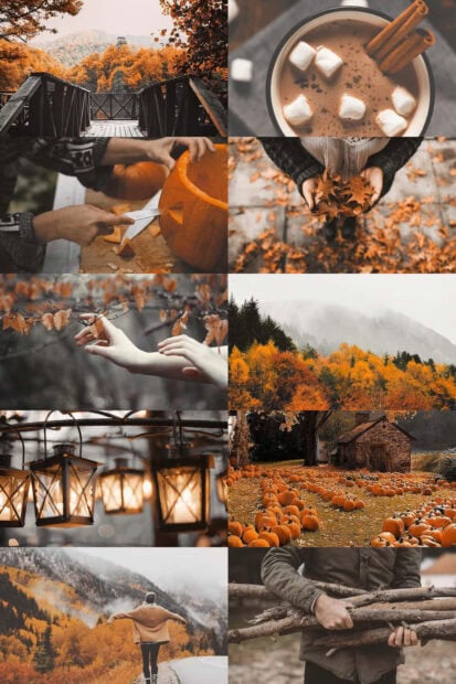 A beautiful fall collage wallpaper depicting various autumn activities and landscapes, including pumpkin carving, hot chocolate, and misty forest views