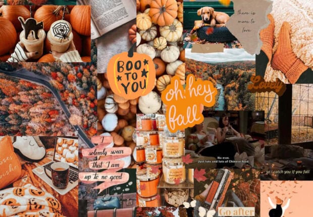 A cozy fall collage wallpaper displaying pumpkins, autumn decor, fall-themed text, and warm indoor scenes perfect for desktop
