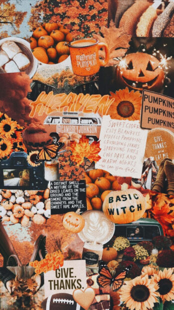 A charming fall collage wallpaper showcasing pumpkins, sunflowers, autumn leaves, warm beverages, and cozy elements perfect for mobile backgrounds