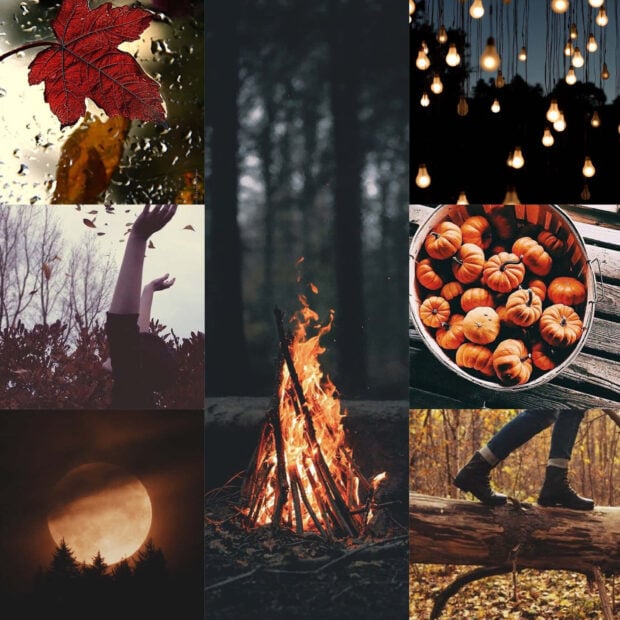 A dark aesthetic fall collage wallpaper featuring autumn leaves, a campfire, pumpkins, and a full moon