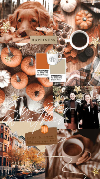 Fall collage wallpaper showcasing a golden retriever, small pumpkins, coffee, a street with autumn trees, and pantone color swatches