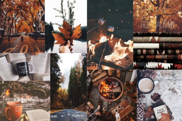 A minimalist fall collage wallpaper showcasing autumn leaves, cozy campfires, books, and serene fall landscapes