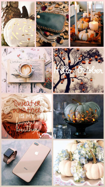 A bright and cozy fall collage wallpaper with October themes, pumpkins, sweaters, and autumn decorations