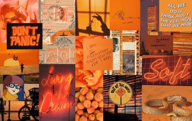 A vibrant orange aesthetic fall collage wallpaper featuring vintage elements, peaches, and neon signs