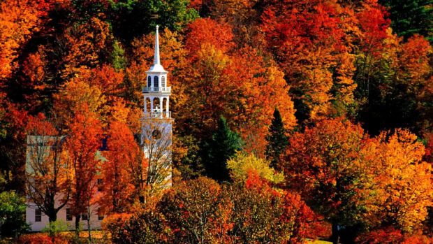 A classic Fall Colors Wallpaper featuring a white church steeple surrounded by a dense forest of vibrant orange and red autumn trees