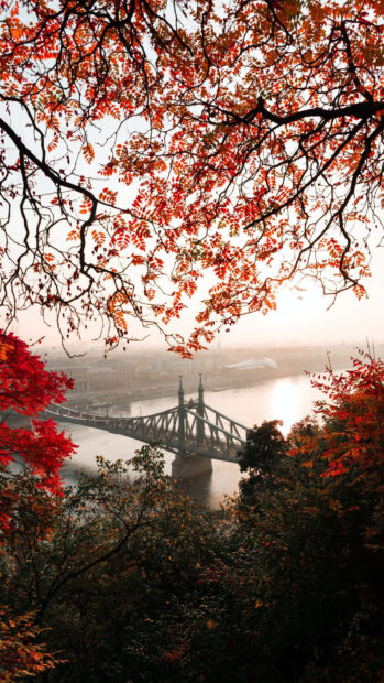 A scenic Fall Colors Wallpaper featuring a city bridge viewed through a frame of vibrant red autumn leaves