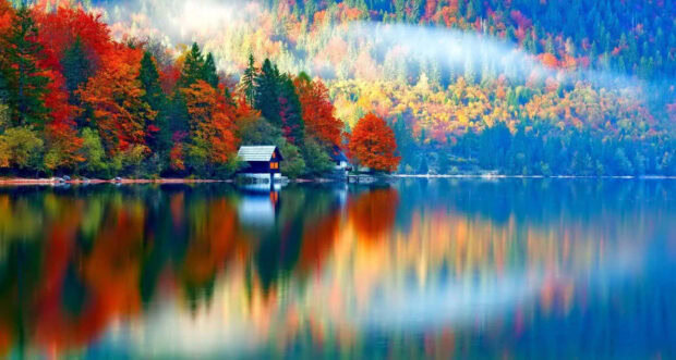 An breathtaking Fall Colors Wallpaper depicting a serene lake reflecting a forest with vibrant autumn foliage and misty mountains