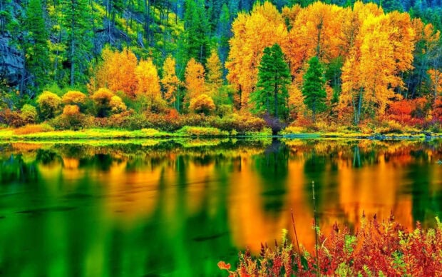 A vibrant Fall Colors Wallpaper showcasing a lake reflecting a colorful forest of green, yellow, and orange trees