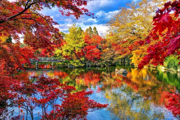 A stunning Fall Colors Wallpaper showcasing a vibrant autumn pond with colorful trees and a bridge reflecting on the water