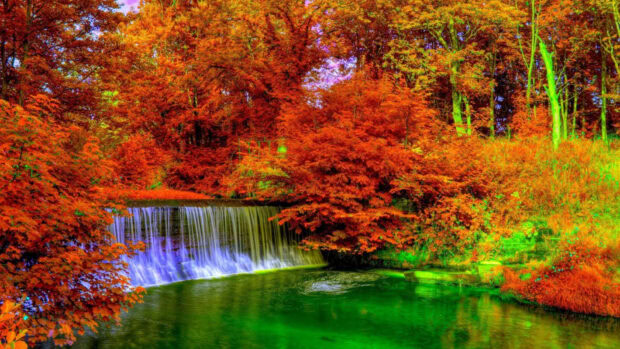 Vivid Fall Colors Wallpaper showcasing a small waterfall cascading into a bright green pond amidst fiery red and orange autumn trees