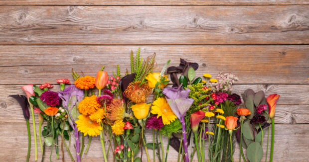 A vibrant Fall Flowers Wallpaper displaying an arrangement of colorful fall blooms including marigolds, dahlias, and calla lilies on a rustic wooden background