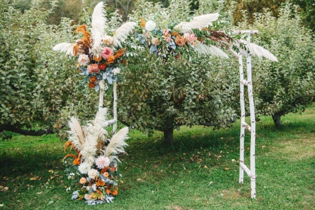 A charming Fall Flowers Wallpaper featuring a wedding arch decorated with pampas grass and orange, pink, and white fall flowers in an apple orchard setting