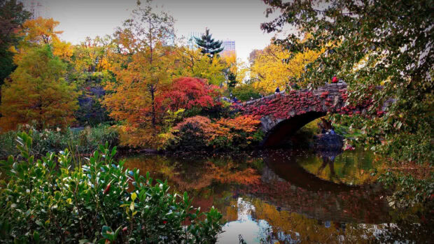A picturesque Fall Foliage Wallpaper showcasing Central Park's Gapstow Bridge surrounded by vibrant autumn trees and reflected in a pond