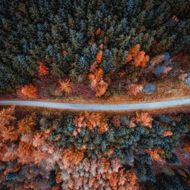 An aerial view of a winding road through a dense forest with a mix of green and autumnal orange trees, ideal for a Fall iPad wallpaper