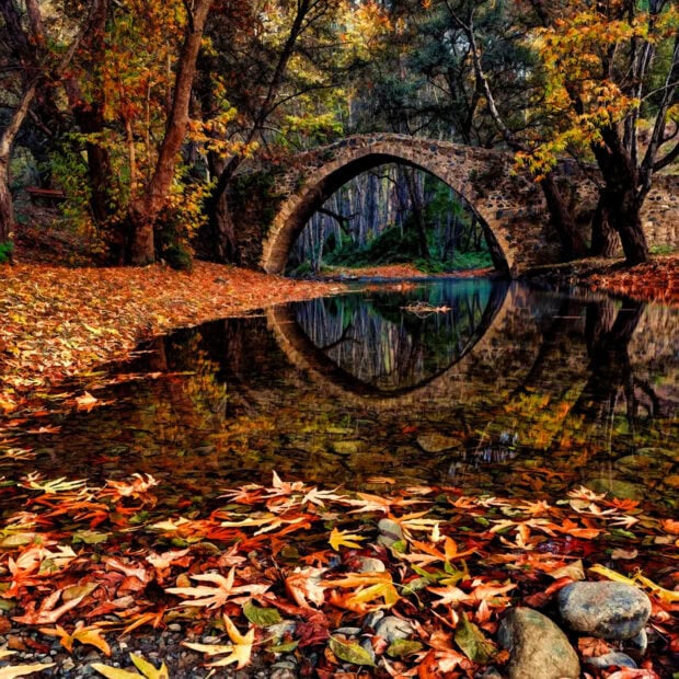 A picturesque Fall Ipad Wallpaper showing an old stone bridge over a reflective river surrounded by autumn trees