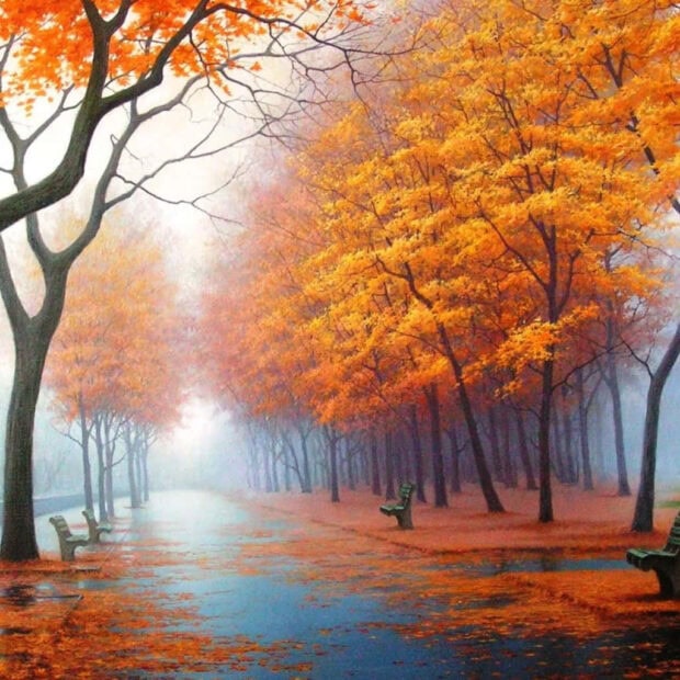A picturesque Fall Ipad Wallpaper illustrating a misty autumn park with orange trees, benches, and reflections in puddles