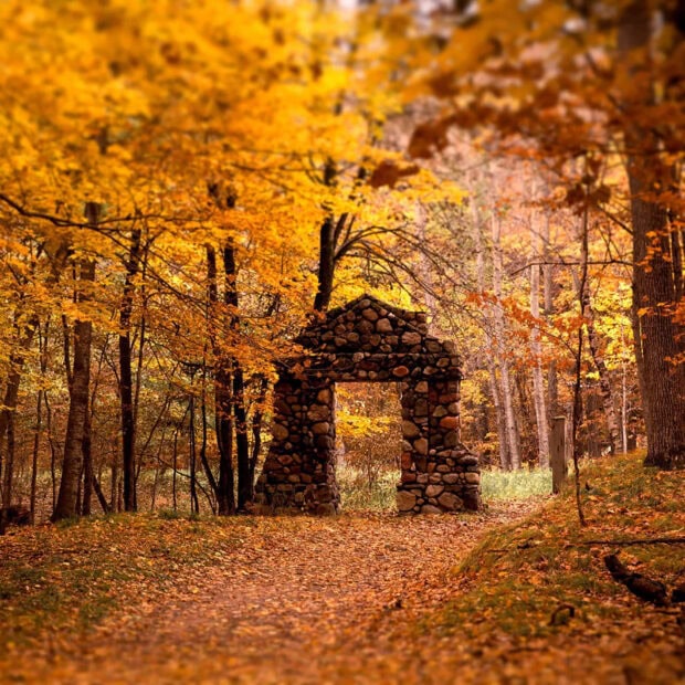 A beautiful Fall Ipad Wallpaper featuring an old stone archway in a forest with vibrant orange and yellow autumn leaves