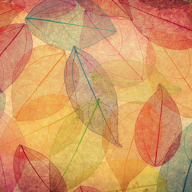 An artistic fall iPad wallpaper featuring a pattern of translucent skeletal leaves in various autumn colors like orange, yellow, and green