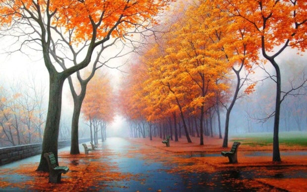 A vibrant Fall Landscape Wallpaper depicting a misty park path with brilliant orange and yellow fall trees