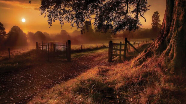An atmospheric Fall Landscape Wallpaper featuring a misty sunset over an old wooden gate and a dirt path