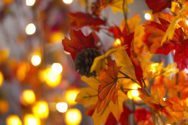 A close-up Cozy Fall Desktop Wallpaper showing colorful autumn leaves and a pinecone illuminated by warm fairy lights with a soft bokeh background