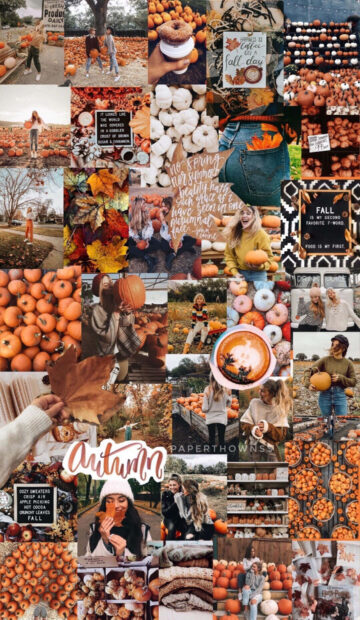 A vibrant fall season wallpaper collage showcasing autumn aesthetics with pumpkins, leaves, coffee, and people enjoying the season