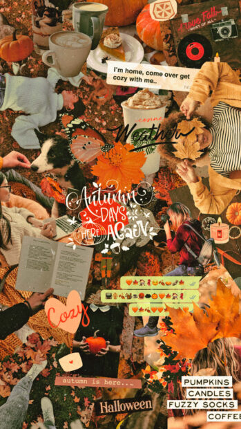 A vibrant fall season wallpaper collage with autumn leaves, pumpkins, and cozy elements, suitable for mobile screens