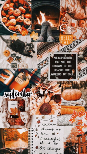 A cozy Fall Season Wallpaper collage featuring pumpkins, a black cat, fireplace, sunflowers, and autumn leaves, perfect for mobile devices
