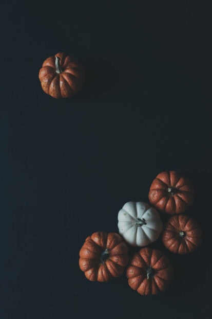 A minimalist Fall Season Wallpaper with several small orange and white pumpkins arranged on a dark, moody background