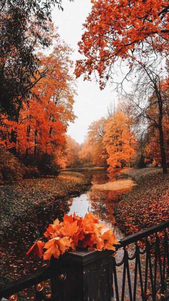 A beautiful fall season wallpaper depicting a serene river surrounded by vibrant orange autumn leaves and trees