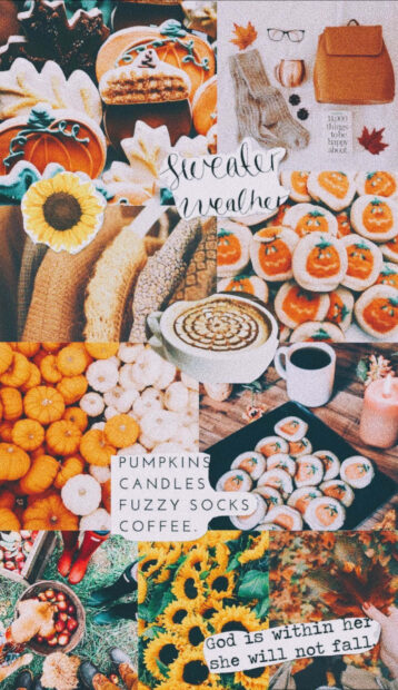 A delightful Fall Collage Wallpaper showcasing pumpkin-shaped cookies, sunflowers, cozy coffee cups, and autumn-themed accessories, perfect for mobile
